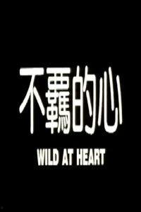 电影不羁的心在线观看,探寻自由灵魂的激情之旅 第1张 电影不羁的心在线观看,探寻自由灵魂的激情之旅 第1张