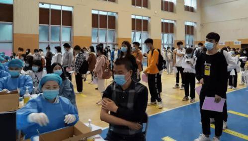 新飞宠麋鹿爆料最新消息,最新动态揭秘  第2张